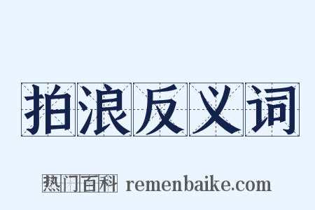拍浪反义词是什么意思的图片